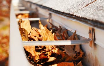 East Rainton gutter cleaning companies